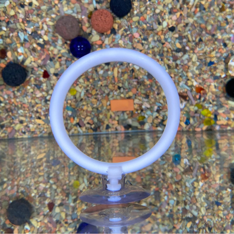 1個入り プラスチック製水槽用人工トレーニングリングフープセ - Gymnastic Ring のレビューと価格