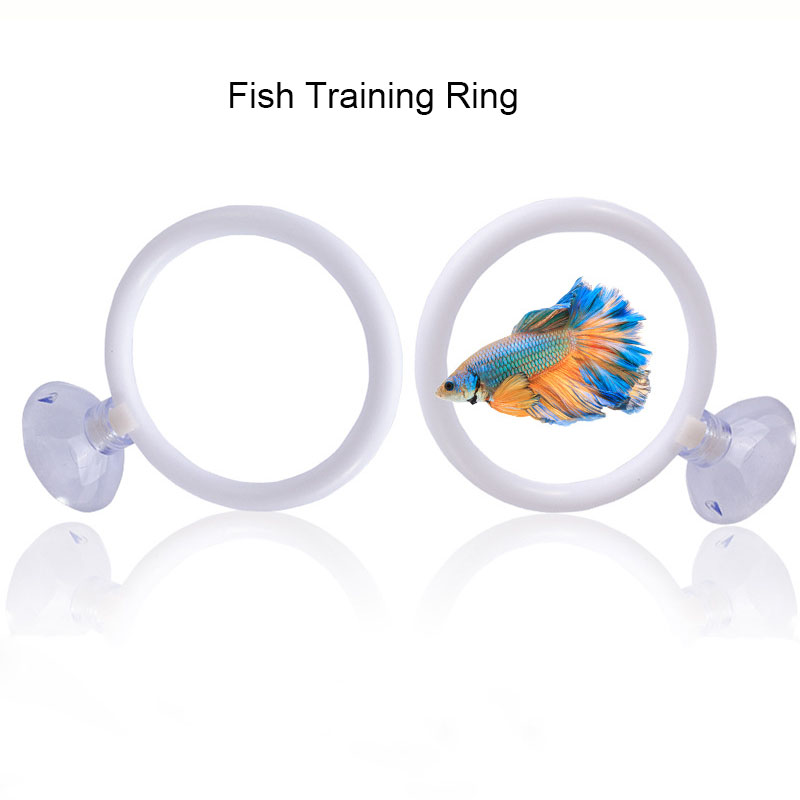 1個入り プラスチック製水槽用人工トレーニングリングフープセ - Gymnastic Ring のレビューと価格